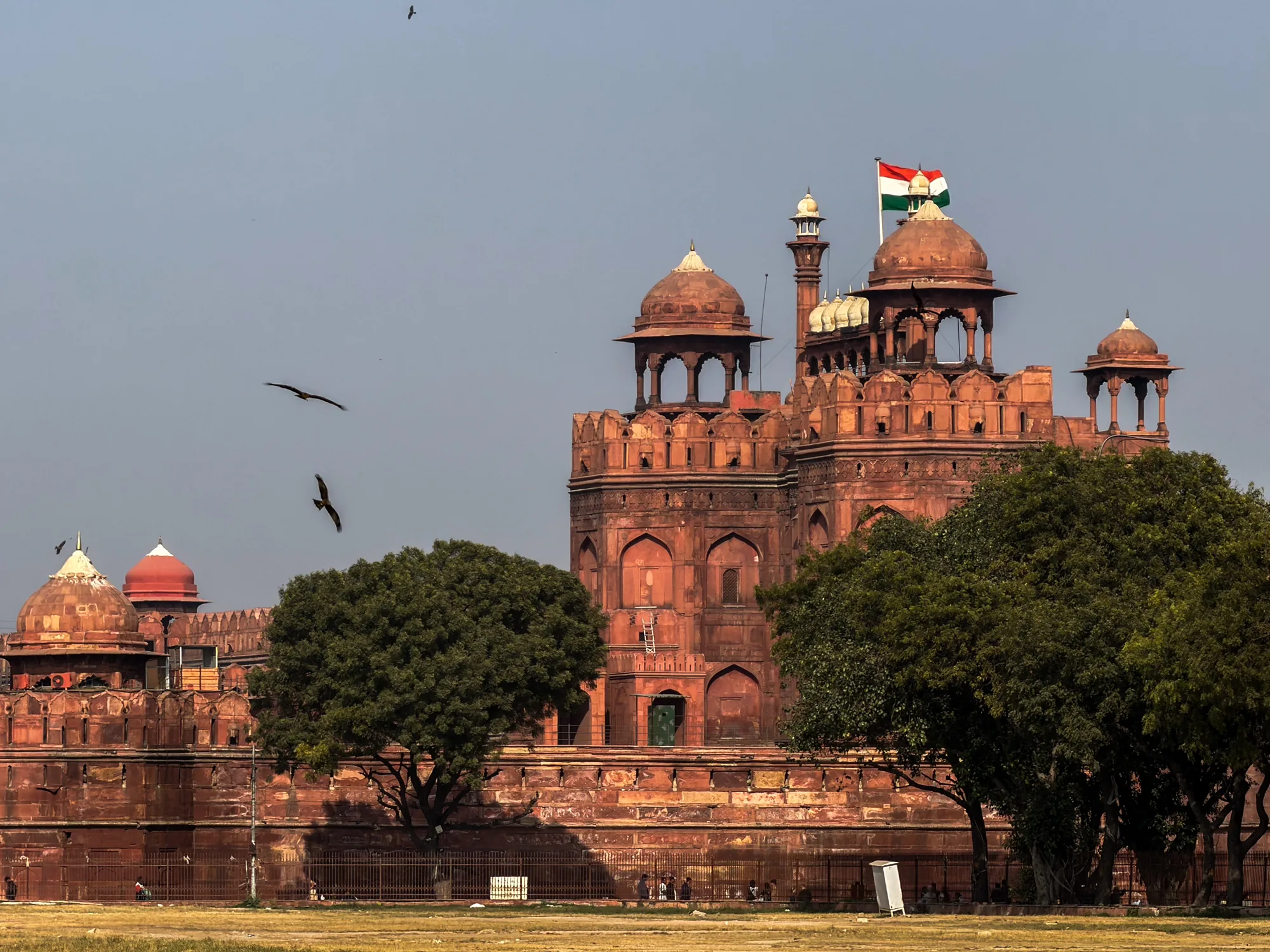 写真はインドのニューデリーにある赤い城（ラール・キラー）を捉えています。堂々とした赤い砂岩の城壁が、青空を背景にそびえ立っています。城壁の上にはドーム状の屋根や塔がいくつかあり、中央の建物の上にはインドの国旗が誇らしげに掲げられています。城壁の前面には緑豊かな木々が茂り、城の威厳を和らげ、自然との調和を生み出しています。空には数羽の鳥が舞い、写真に動きと生命感を与えています。全体的に、歴史的な建造物の荘厳さと、周囲の自然の美しさを感じさせる写真です。