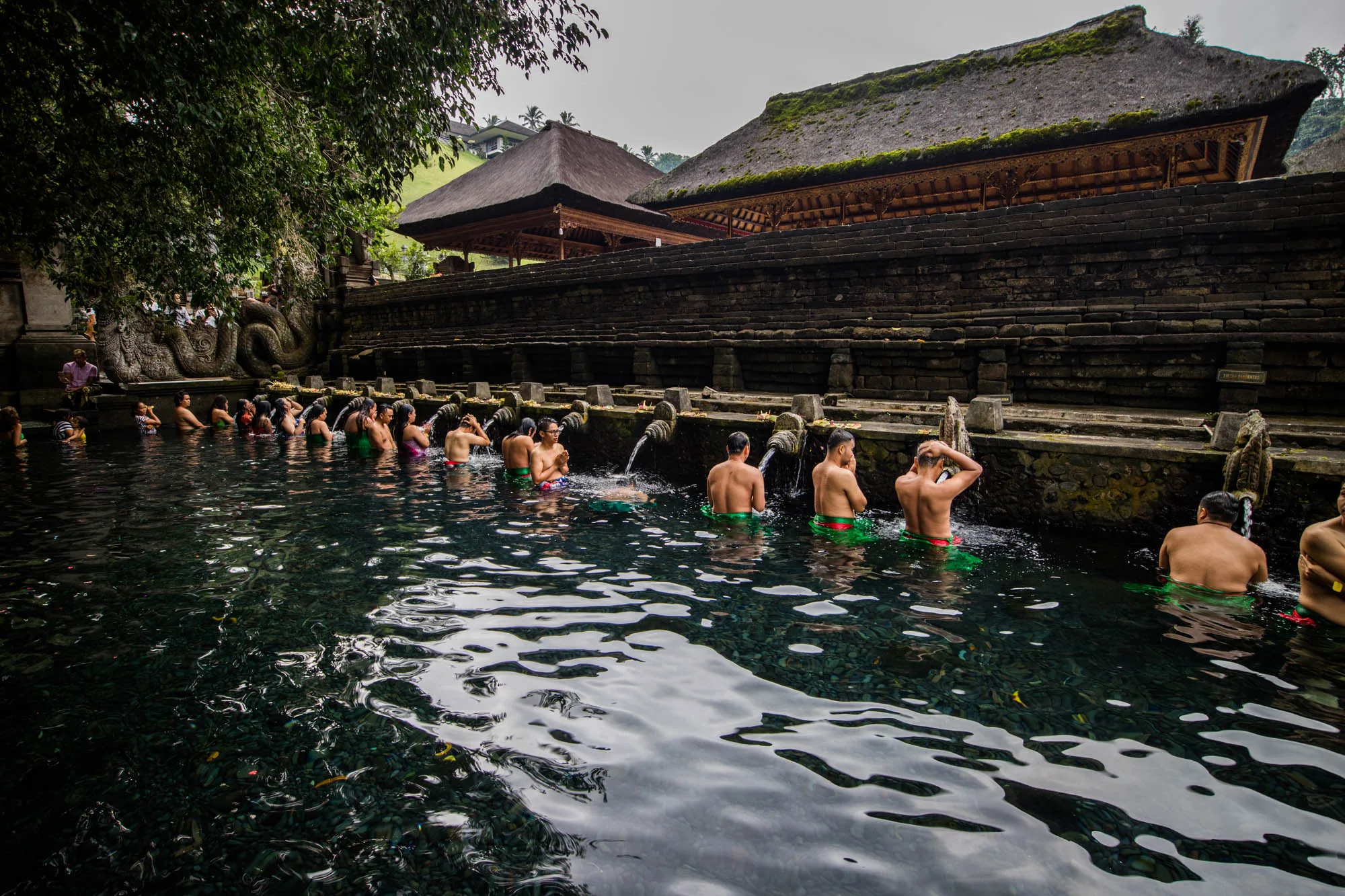 写真はインドネシアのバリ島にある沐浴場の様子を捉えています。水は澄んでおり、底の石が見えます。多くの人々が水に入り、一列に並んで石造りの壁から流れ出る水を受けています。壁には装飾が施され、苔が生えています。背景には伝統的なバリ建築の建物が見え、茅葺屋根が特徴的です。建物の背後には緑豊かな丘が広がっています。左側には木々が生い茂り、木陰を作っています。全体的に神聖で穏やかな雰囲気が漂っています。沐浴者たちは瞑想したり、水に身を浸したりして、精神的な浄化を行っているようです。