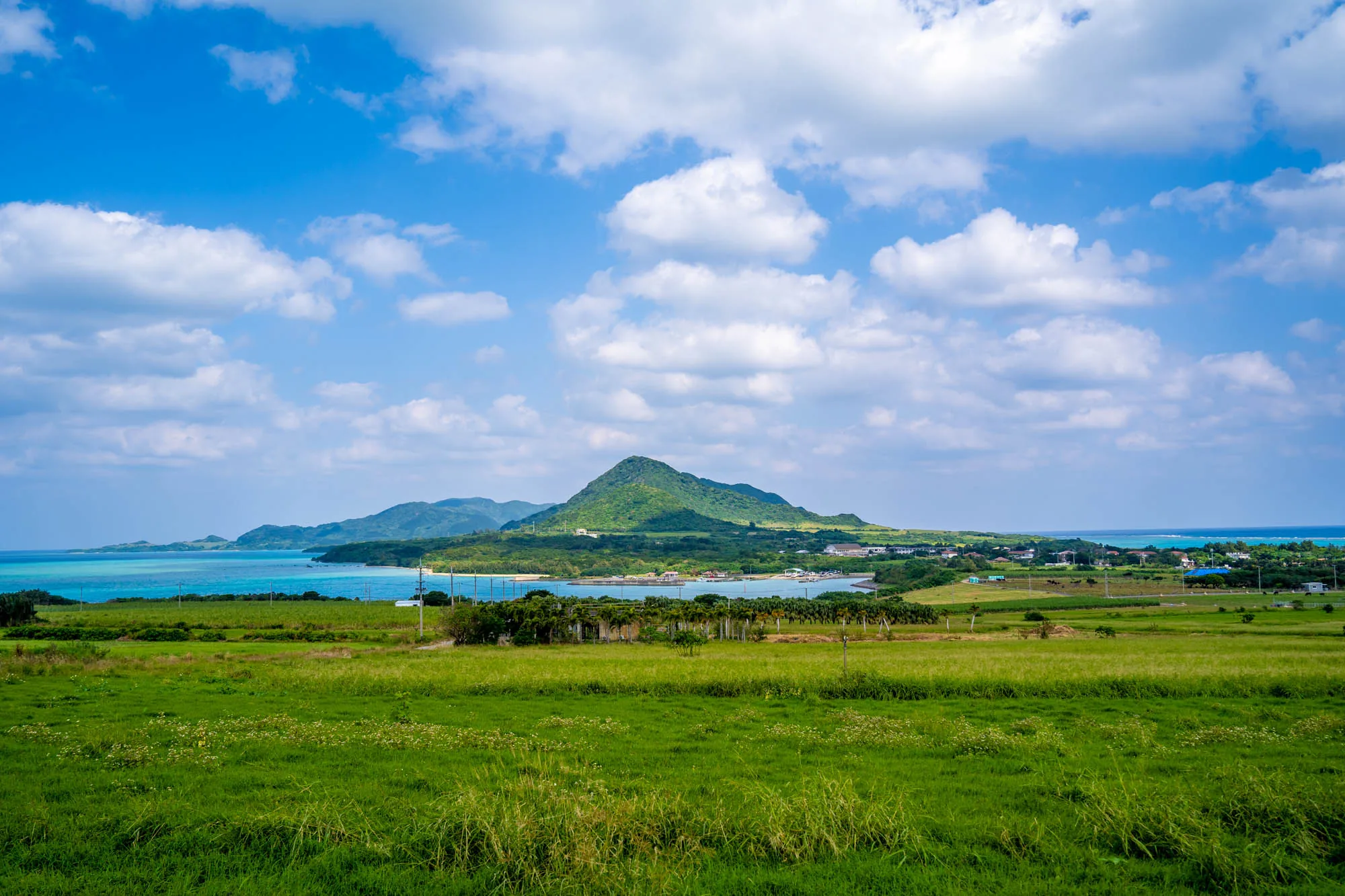写真には、日本の石垣島の自然豊かな風景が写っています。手前には一面に広がる緑の牧草地があり、草は生き生きとしていて、白や黄色の小さな花が点在しています。牧草地の奥には、ターコイズブルーの美しい海が広がっており、穏やかな波が打ち寄せています。海の向こうには緑豊かな島や山々が連なり、特に中央にある円錐形の山が目を引きます。  空は明るい青色で、白いふわふわとした雲が浮かんでおり、心地よい風が吹いているような爽やかな印象を与えます。全体的に、写真からは平和で穏やかな雰囲気を感じられ、石垣島の自然の美しさが際立っています。