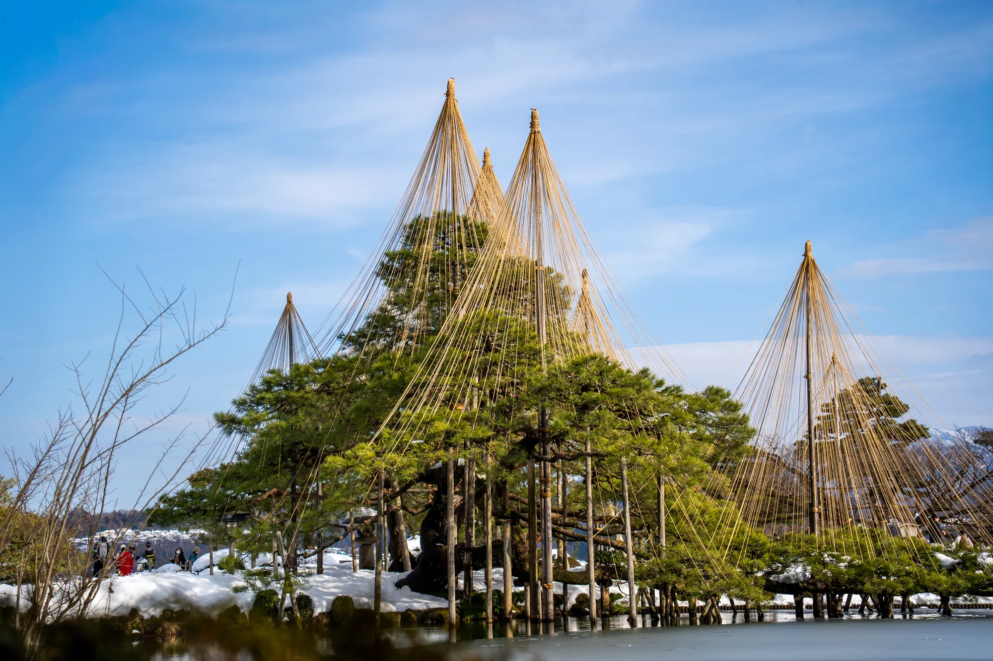 この写真は、日本の金沢にある兼六園で撮影されたものです。冬の風景が広がっており、青空の下、雪景色の中に雪吊りが施された松が印象的に映っています。手前には水面が見え、一部凍っているようです。水面に映る木々の様子も捉えられています。  中央には、複数の松が写っており、それぞれ雪の重みから枝を守るために、縄で組まれた雪吊りが施されています。これらの雪吊りは、円錐形のような形を作り、整然と並んでいます。背景には、うっすらと雪を被った山並みが見え、さらに遠景には街並みも確認できます。左側には、雪の残る庭園を散策する人々の姿も見られます。全体的に、冬の寒さと静けさ、そして日本の伝統的な美意識が感じられる一枚です。