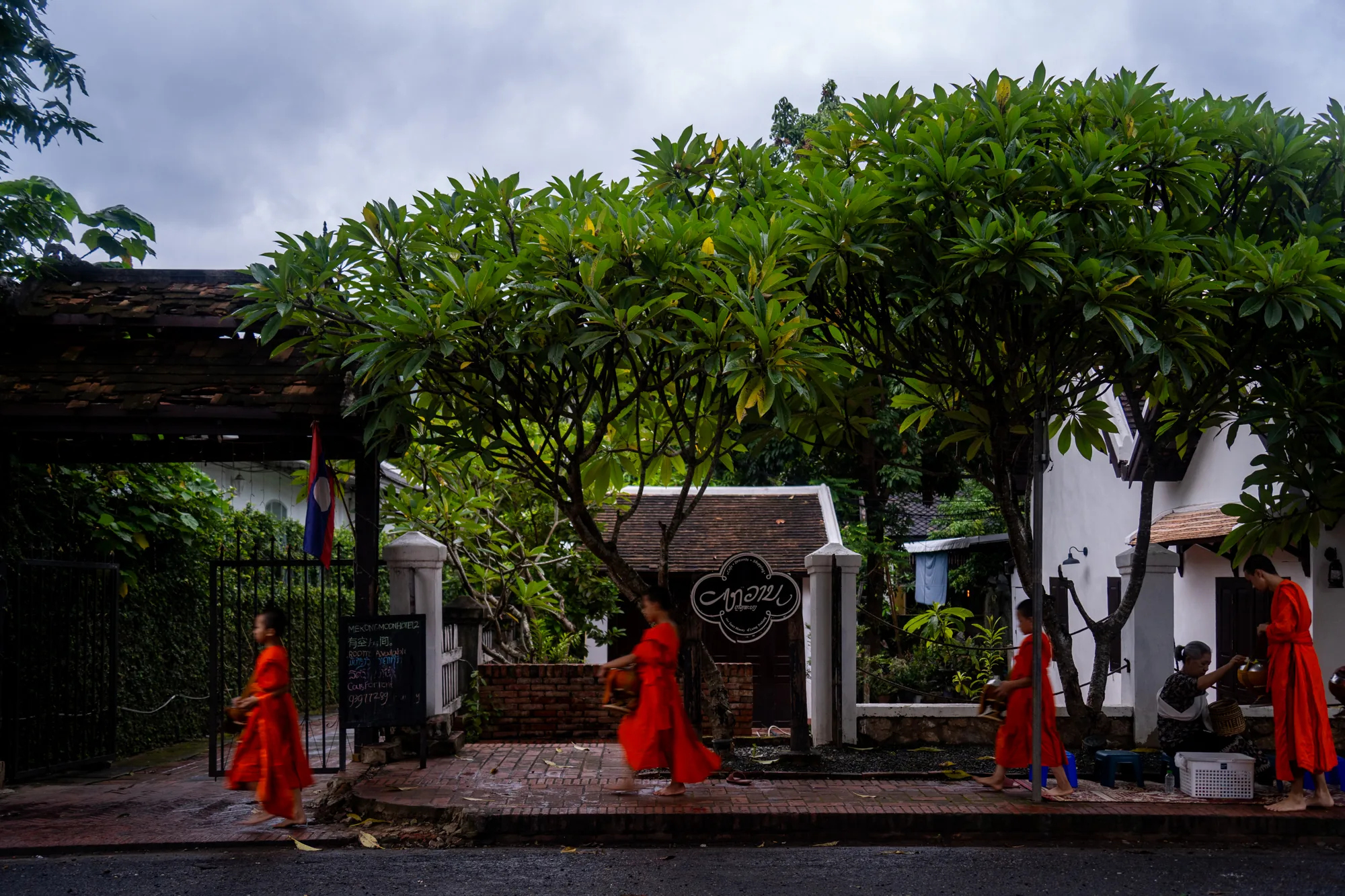 ラオスのルアンパバーンで撮影された写真です。薄暗い曇り空の下、鮮やかなオレンジ色の袈裟をまとった若い僧侶たちが、托鉢の列をなして歩いています。  僧侶たちは皆、素足で、それぞれ鉢を持っており、道端に座って待ち受けている人々に食べ物を施してもらっています。写真右側には、女性が座って僧侶たちに何かを施している様子が見えます。  背景には、緑豊かな木々が生い茂り、伝統的な建築様式の建物が点在しています。看板にはラオスの文字が書かれており、異国情緒あふれる雰囲気を醸し出しています。全体的に落ち着いた雰囲気で、敬虔な人々の営みが感じられます。