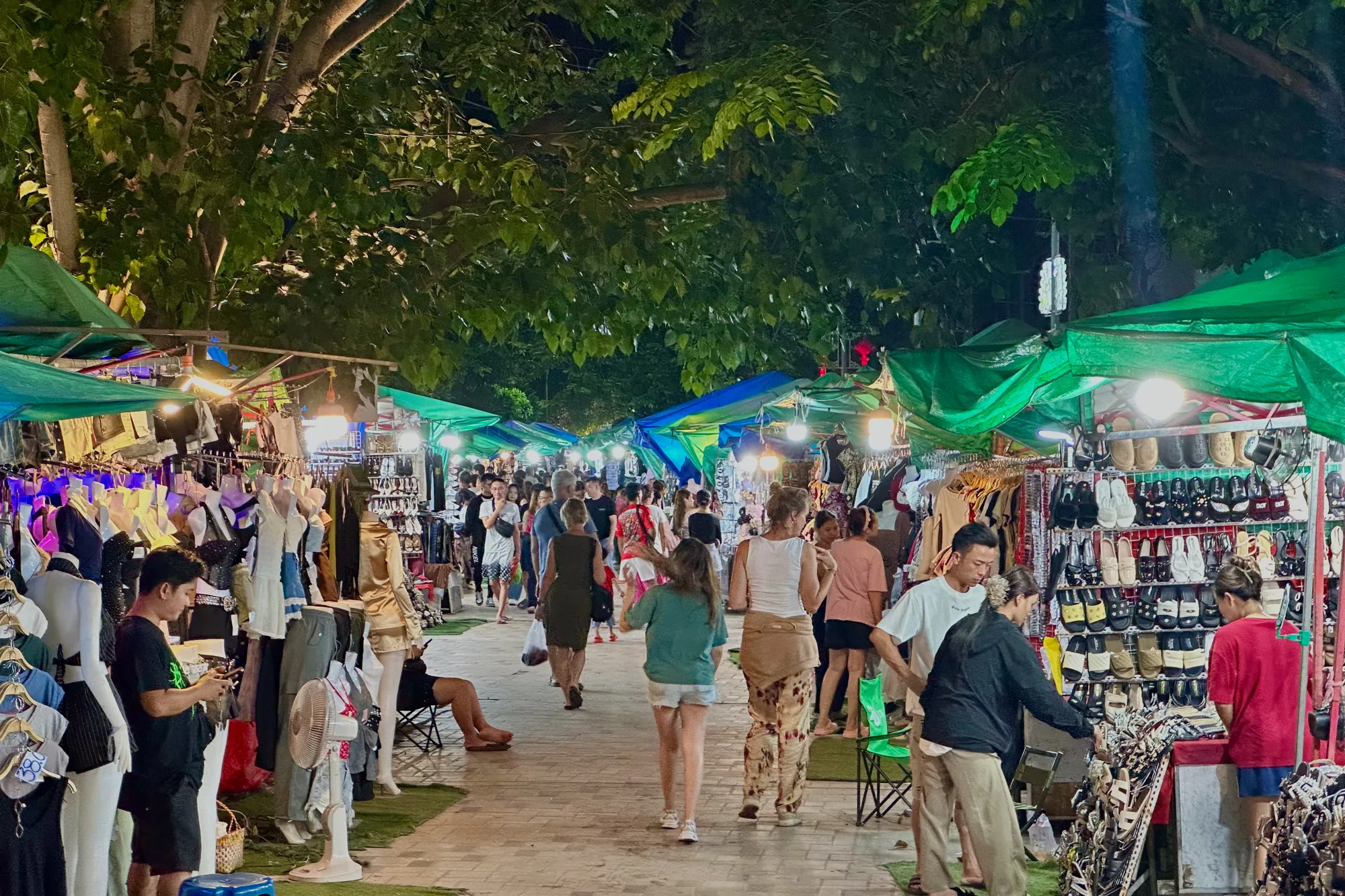 写真はラオスのビエンチャンで撮影された夜の市場の様子を捉えています。多くの人々が露店の間を歩いており、活気に満ちた雰囲気が伝わってきます。露店は緑色の屋根で覆われており、様々な商品が陳列されています。衣料品、靴、アクセサリーなどが見られ、観光客や地元の人々で賑わっています。上部には大きな木々が生い茂り、街灯の光が木々の間から漏れて、幻想的な光景を作り出しています。地面は舗装されており、人々はゆっくりと買い物を楽しんでいるようです。全体的に、賑やかでエキゾチックな夜市の雰囲気が感じられます。