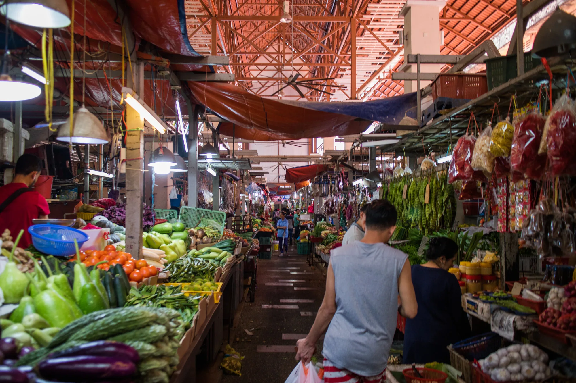 写真はマレーシアのクアラルンプールにある市場の様子を捉えています。通路の両側には野菜や果物が所狭しと並べられ、活気にあふれた雰囲気が伝わってきます。手前には、緑色のカボチャのようなもの、トマト、ナス、キュウリなど、様々な種類の野菜が山積みにされています。奥へと続く通路には人々が行き交い、それぞれの目的を持って買い物をしている様子が伺えます。天井には、むき出しになった骨組みの上に赤茶色のシートが張られ、市場の独特な構造を形作っています。照明も複数設置されており、薄暗い場所でも商品が見やすいよう工夫されているようです。全体的に、生活感と熱気が感じられる一枚です。