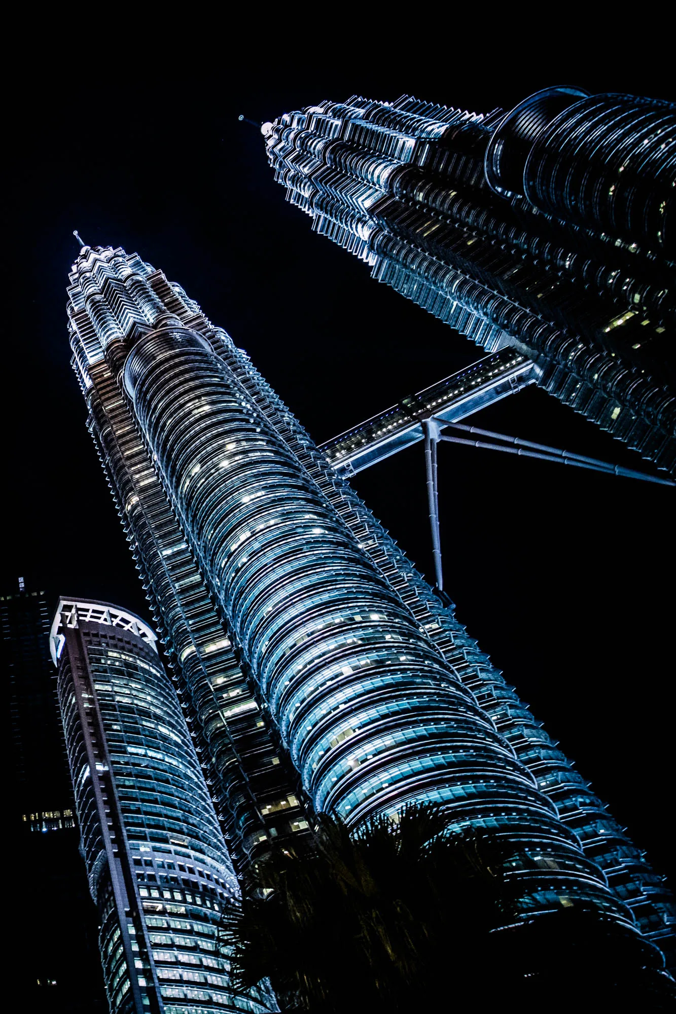 マレーシアのクアラルンプールで撮影された夜景の写真です。夜空を背景に、そびえ立つペトロナスツインタワーが印象的に捉えられています。タワーはライトアップされ、無数の光が輝きを放っています。タワーの独特なデザインが強調され、巨大な建造物としての存在感を際立たせています。タワーを結ぶ連絡橋も光を帯びており、その構造美を際立たせています。画面の下部には、熱帯植物と思われるシルエットが写り込んでおり、都会の風景に自然の要素を加えています。全体的に、暗闇の中に浮かび上がるタワーの光が美しく、クアラルンプールの象徴的な夜景を見事に表現した一枚です。