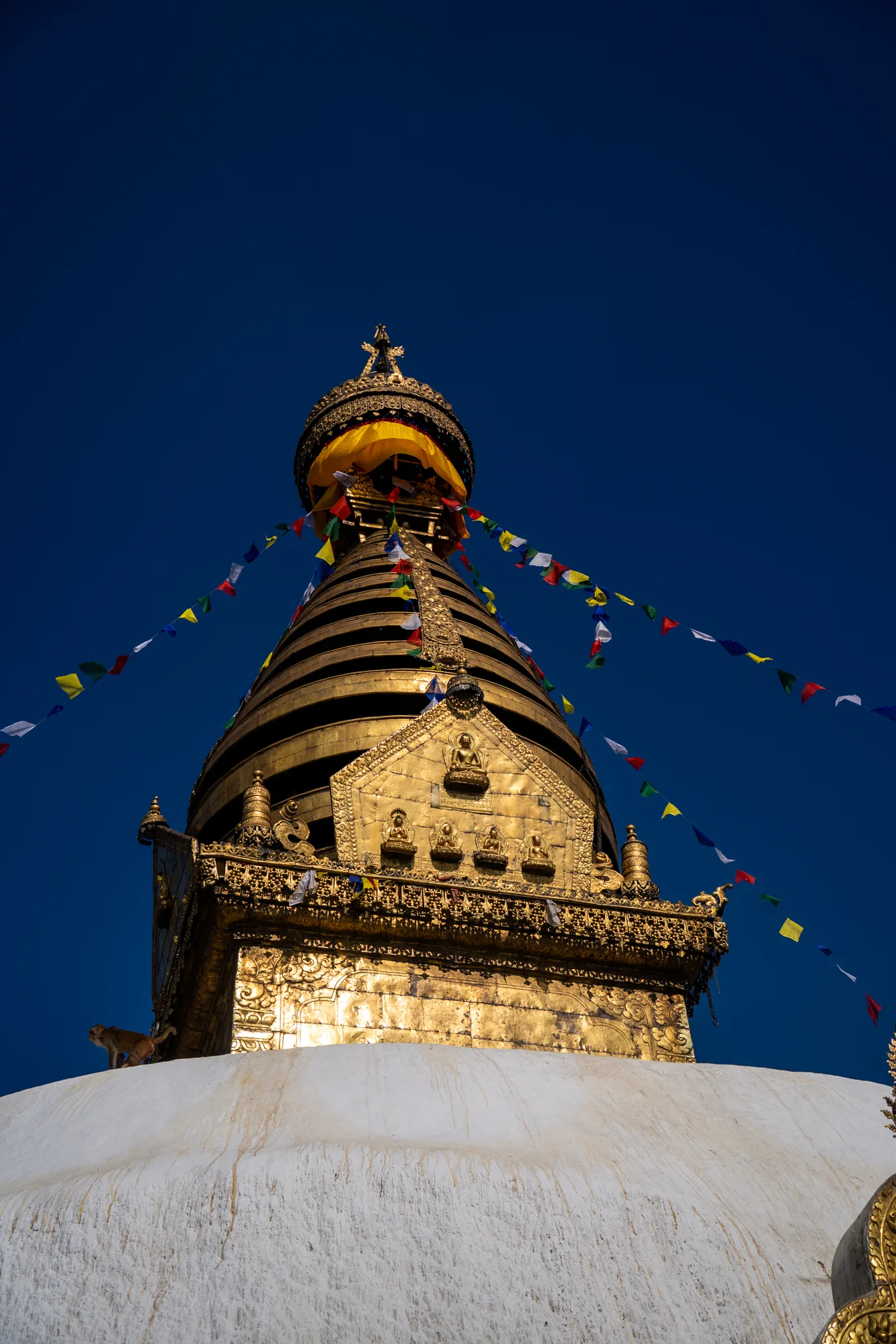ネパールのカトマンズにあるスワヤンブナートの仏塔（ストゥーパ）をローアングルから捉えた写真です。鮮やかな青空を背景に、仏塔の白い基壇とその上にそびえ立つ黄金色の尖塔が際立っています。尖塔には、仏像の彫刻が施され、仏教旗であるタルチョ（ルンタ）が飾られています。基壇の上には猿が1匹写っており、スワヤンブナートが「モンキーテンプル」と呼ばれる所以を物語っています。写真全体から、神聖で荘厳な雰囲気を感じ取れます。