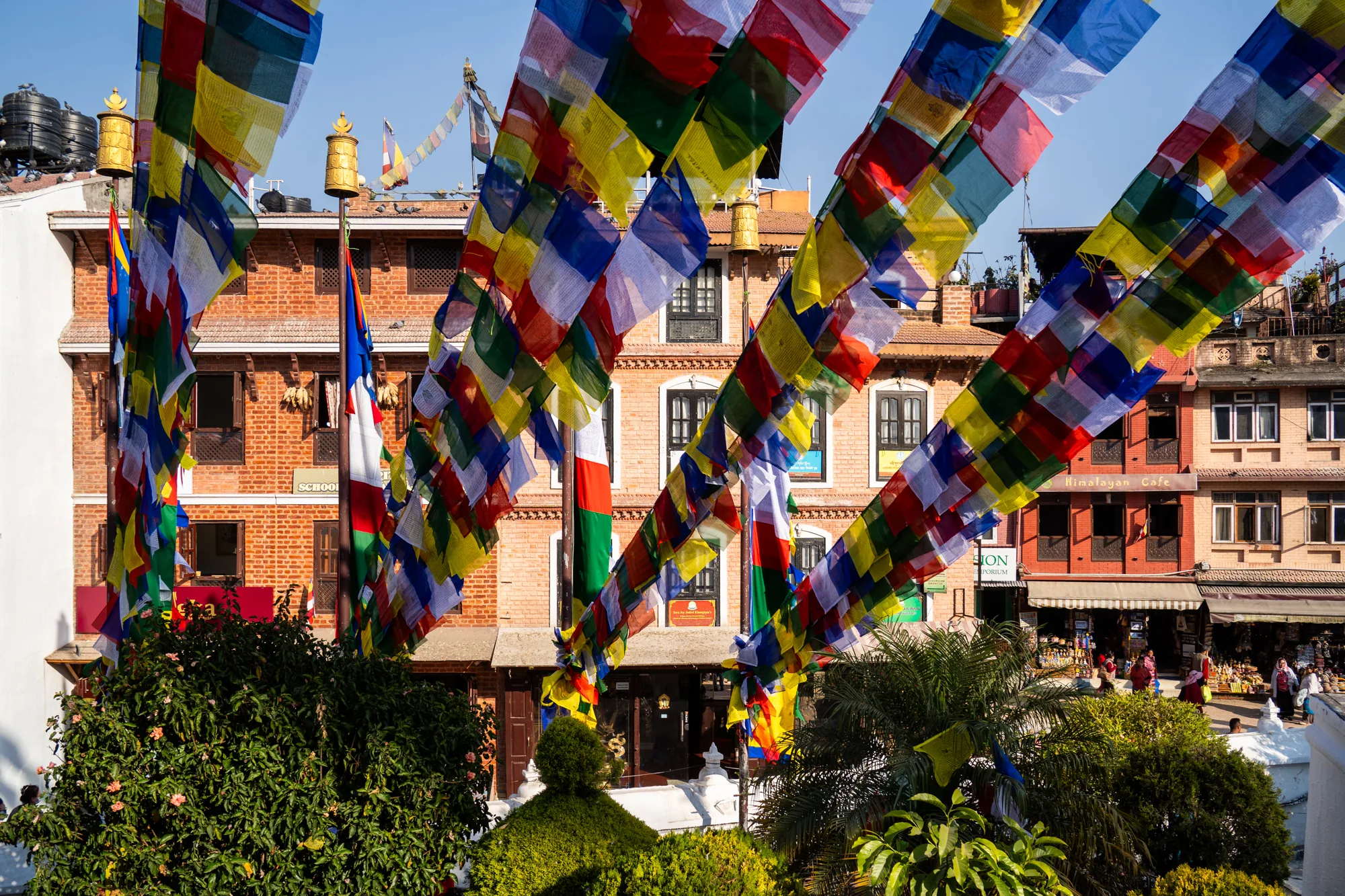 ネパールのカトマンズで撮影された写真です。前景には色とりどりのタルチョ（祈祷旗）が連なり、風になびいています。タルチョは赤、青、緑、黄、白など様々な色で構成されており、仏教的な意味合いを持っています。  タルチョの後ろには、レンガ造りの建物が並んでいます。建物には窓がいくつも設けられ、一部の窓には木製のシャッターが見られます。また、建物には「SCHOOL」や「Himalayan Cafe」といった文字が見え、用途を示唆しています。屋上には貯水タンクやアンテナなどが設置されています。  建物の手前には、緑豊かな植え込みがあります。丸く刈り込まれた低木やヤシの木などが見られ、都市の中の緑を感じさせます。背景には、人々が行き交う様子が写っており、活気のある街の雰囲気が伝わってきます。青空が広がり、日差しが明るい印象を与えています。写真全体として、カトマンズの風景と文化が表現されています。