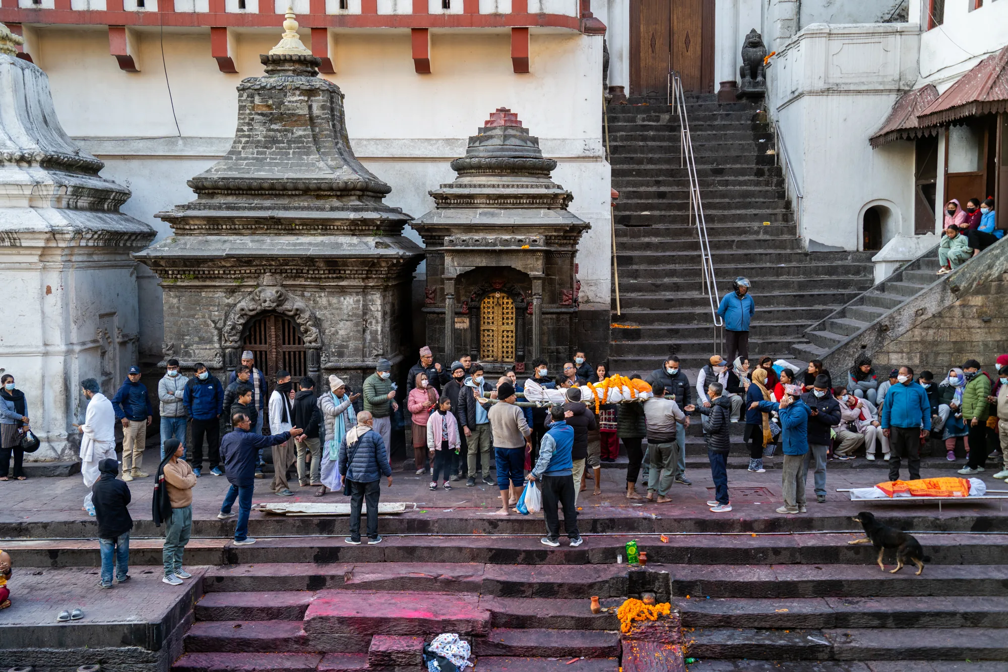 この写真は、ネパールのパシュパティナートで撮影されたものです。石造りの階段状の場所で、人々が集まっています。中心には、白い布で覆われた棺が担がれています。棺にはオレンジ色の花が飾られており、葬儀の様子が伺えます。人々は様々な服装をしており、マスクをしている人も多く見られます。階段の下には、オレンジ色の花が供えられています。背景には、歴史を感じさせる石造りの建造物や寺院、階段が見えます。全体的に静かで、厳粛な雰囲気が漂っています。犬が画面の右下に写っており、生活感が感じられます。