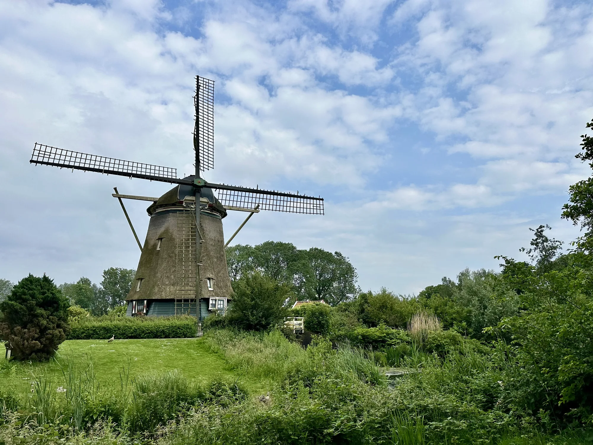 写真には、オランダのアムステルダム郊外の風景が写っています。中心には伝統的なオランダの風車がそびえ立っており、屋根は茅葺きで、木製の羽が特徴的です。風車の色は緑色で、小さな窓がいくつか見えます。風車の前には緑豊かな芝生が広がり、その奥には草木が生い茂る水辺があります。水辺には植物が生い茂り、その向こうには木々が茂っています。空は青く、白い雲が浮かんでいます。全体的に、のどかで平和な印象を受ける風景写真です。