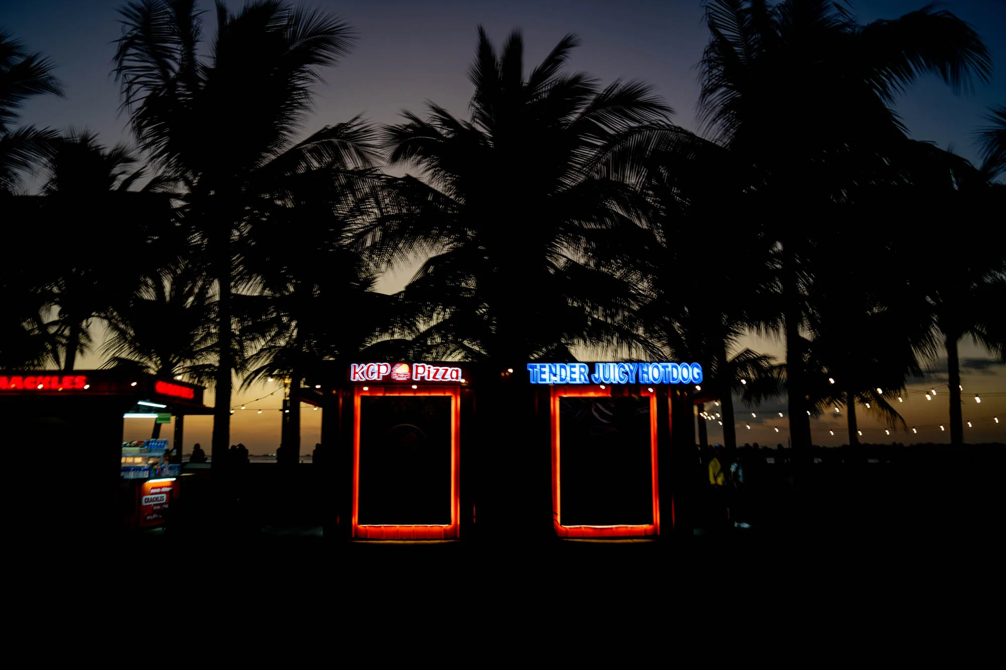 フィリピン、マニラの夜景を捉えた写真です。背景には夕焼けの名残があり、空は深い青からオレンジへとグラデーションを描いています。手前には、ヤシの木のシルエットが重なり、南国らしい雰囲気を醸し出しています。  写真の中央には、ネオンサインで装飾された屋台が並んでいます。左側の屋台は「KCP Pizza」と表示され、右側の屋台は「TENDER JUICY HOTDOG」と表示されています。ネオンの光が周囲を照らし出し、活気ある屋台の様子を伝えています。  写真全体は暗いトーンですが、ネオンサインの鮮やかな色合いがアクセントとなり、目を引きます。夕暮れ時のマニラ湾岸の、リラックスした雰囲気が伝わってきます。