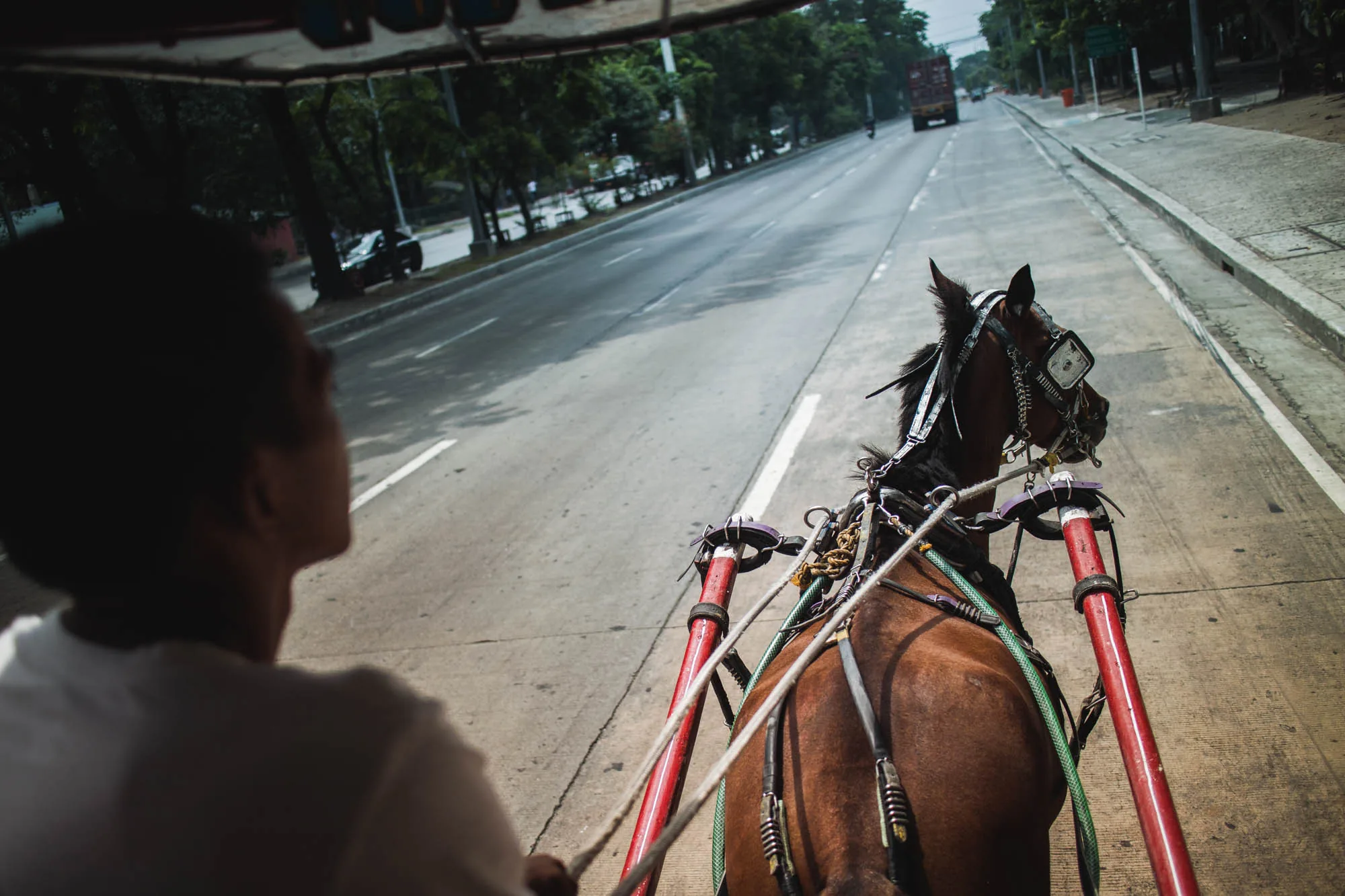 写真はフィリピンのマニラで撮影されたもので、馬車に乗っている視点から景色を捉えています。前景には、馬車の馭者の後ろ姿と、馬の背中、そして馬具の一部が写っています。馬は茶色で、頭には装飾的な覆いがつけられています。馬具は複雑で、ロープや金属製の部品が組み合わされています。  写真全体を占めるのは、長く伸びる道路です。道路は直線的で、複数の車線に分かれています。道路脇には緑豊かな街路樹が植えられており、熱帯の雰囲気を醸し出しています。遠くにはトラックや自動車が走っているのが見え、街の交通の様子が伺えます。  写真全体の色調はやや暗めで、日差しの強いフィリピンの強い光と影のコントラストを捉えています。馬車の乗り心地や、街の喧騒を感じさせる一枚です。
