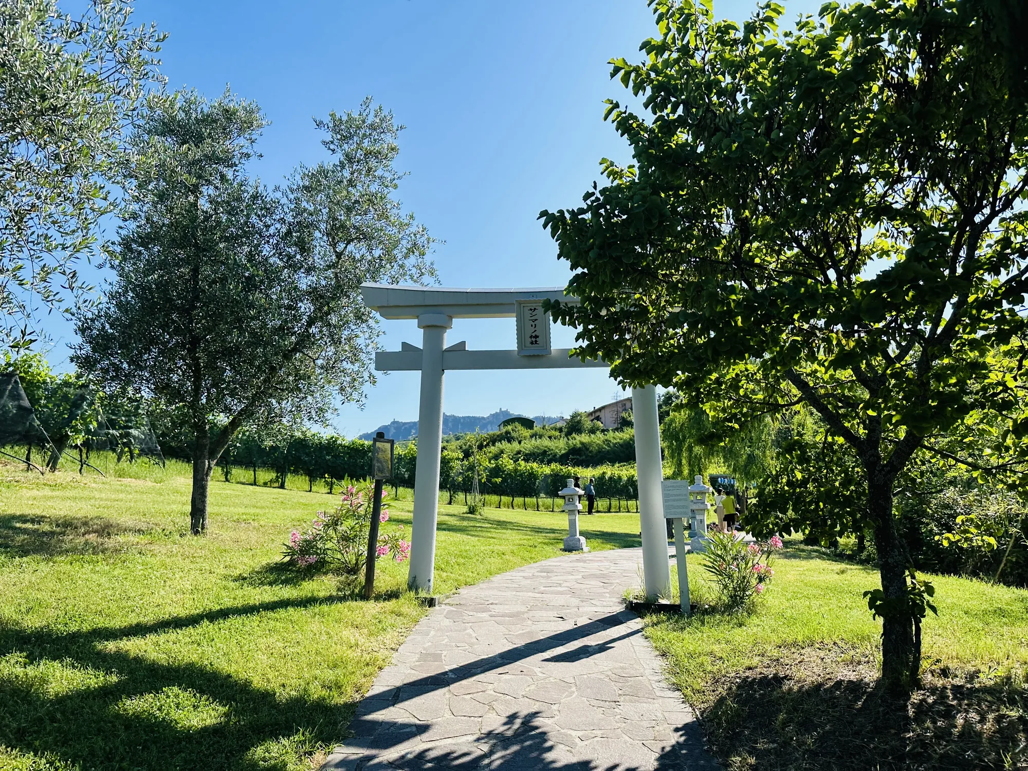 サンマリノで撮影された、日本の神社を思わせる風景の写真です。写真の中央には白い鳥居があり、「サンマリノ神社」と書かれた看板が掲げられています。鳥居の先には石畳の道が続き、その両側には緑の芝生が広がっています。芝生には石灯籠が置かれ、奥にはブドウ畑が見えます。背景には山並みが連なり、青空が広がっています。写真全体は明るく、平和で静かな雰囲気を醸し出しています。鳥居の横にはピンク色の花が咲き、手前には木が茂っています。芝生には木の影が落ちています。
