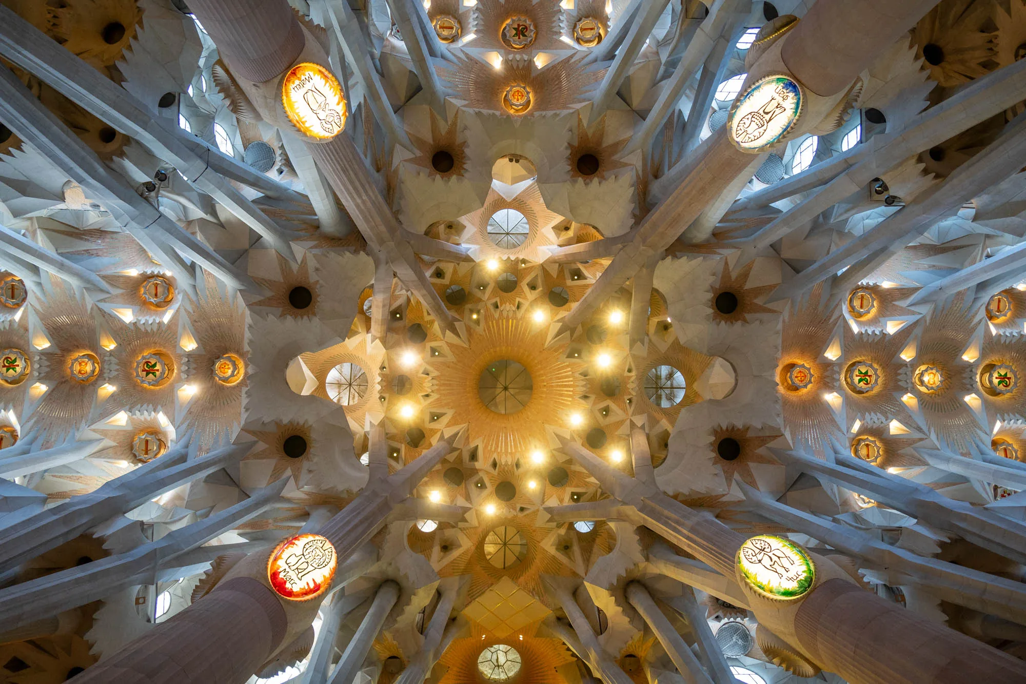 写真は、スペインのバルセロナにあるサグラダファミリアの天井を見上げたものです。細くそびえ立つ柱が放射状に伸びており、天井を複雑な幾何学模様と光に満ちた空間へと変えています。柱の先端には、ステンドグラスが埋め込まれており、柔らかい光を放っています。天井には、太陽のようなモチーフが多数配置され、自然光を取り込むための窓も設けられています。全体として、神聖で壮大な雰囲気が感じられます。建築の細部までこだわり抜かれた美しさが際立っており、訪れる人々を魅了するサグラダファミリアの魅力が凝縮された一枚と言えるでしょう。