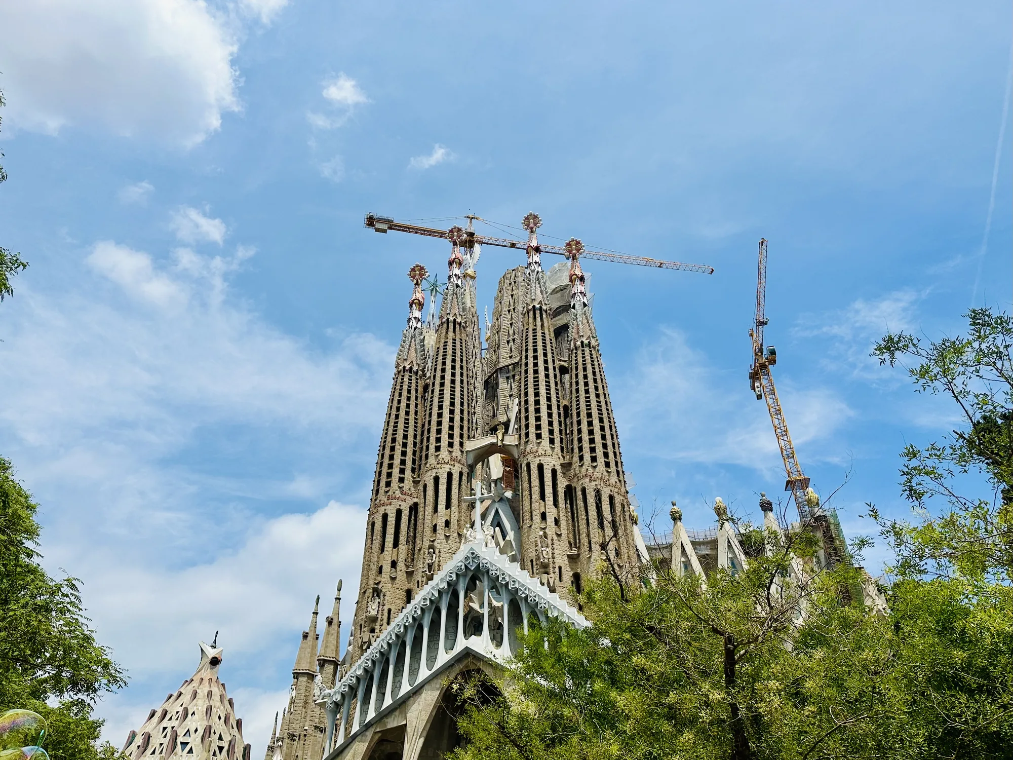 スペインのバルセロナにあるサグラダファミリアを捉えた写真です。青空を背景に、特徴的な塔がそびえ立っています。未完成のため、塔の上には建設用のクレーンが設置されており、建設が継続中であることが分かります。写真手前には緑豊かな木々が写っており、全体的に明るく開放的な雰囲気です。建物の細部まで緻密に表現されており、壮大さと繊細さを感じさせます。