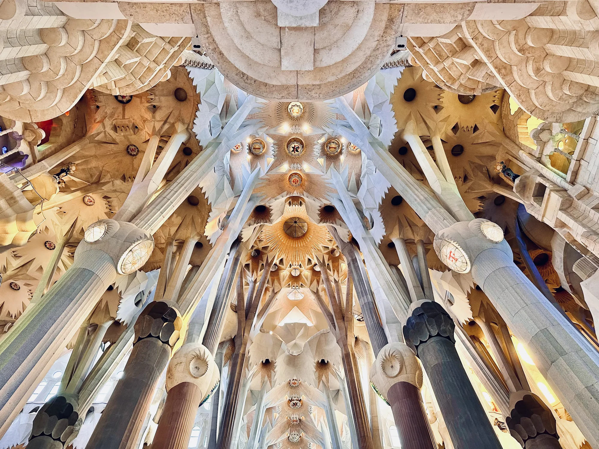 写真は、スペインのバルセロナにあるサグラダファミリアの内部を撮影したものです。特に、天井を見上げた構図になっており、その複雑で壮大なデザインが強調されています。無数の柱が林立し、それぞれが独特の形状を持つ柱頭で支えられています。天井は幾何学的な模様と、自然の要素を思わせる装飾で覆われており、光が差し込むことで神秘的な雰囲気を醸し出しています。全体的に、建築の美しさと神聖さを感じさせる印象的な一枚です。