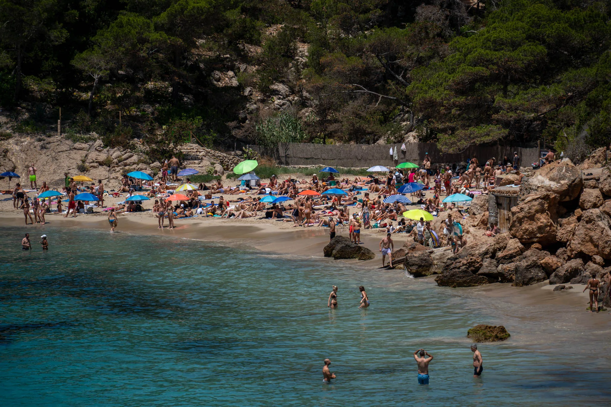 写真はスペインのイビサ島のビーチの風景を捉えています。手前には透明度の高いターコイズブルーの海が広がり、数人の人々が水に浸かっています。ビーチは砂浜で、多くの人々が日光浴をしたり、リラックスしたりしています。ビーチパラソルが多数開いており、青、黄色、オレンジ、緑など、色とりどりの傘が点在しています。ビーチの背景には緑豊かな木々が生い茂る丘があり、自然の美しさを添えています。全体的に、活気があり、夏の休暇を楽しむ人々の様子が伝わる写真です。