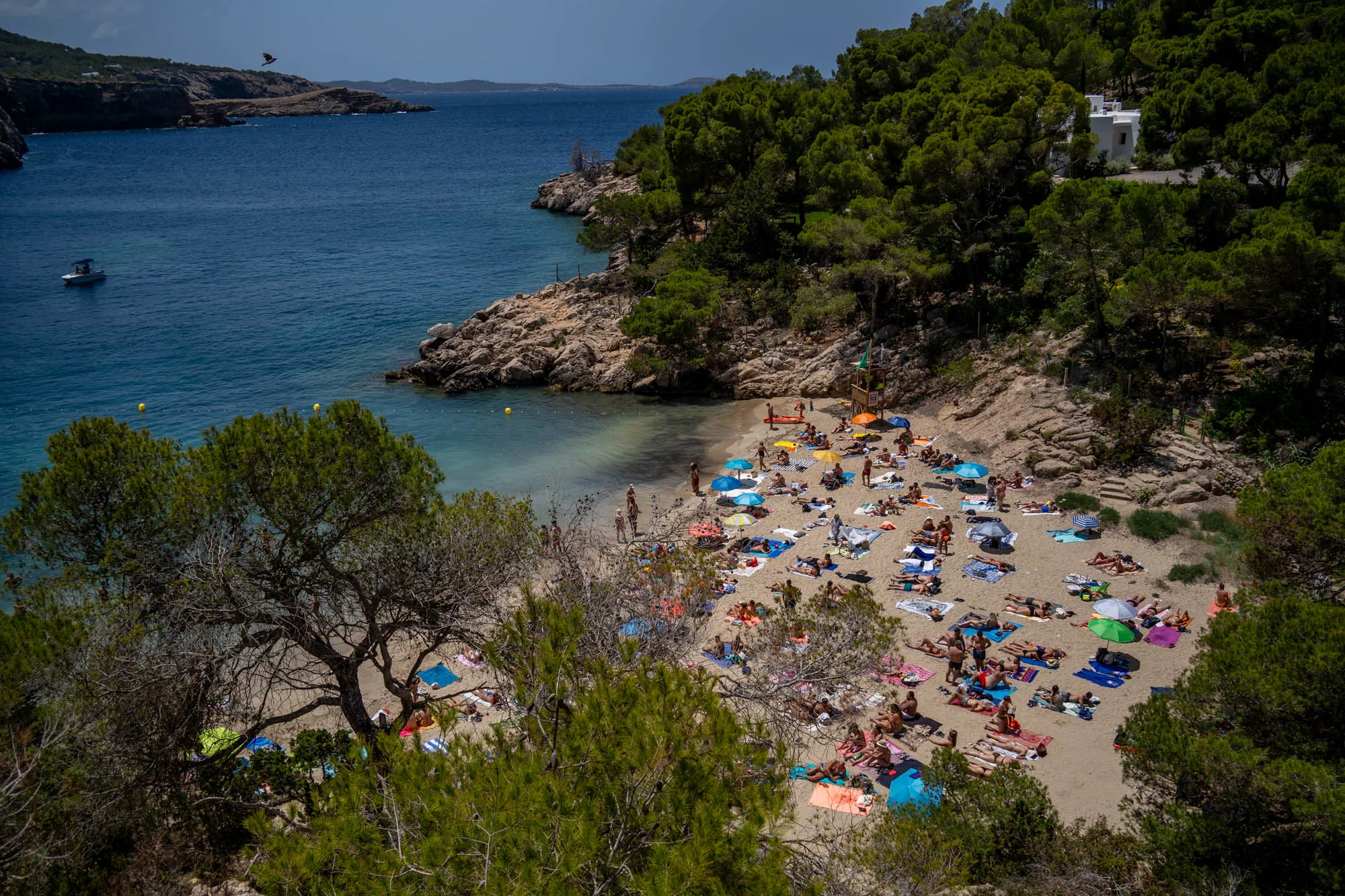 写真はスペインのイビサ島で撮影されたもので、美しいビーチの様子が写っています。ビーチは砂浜で、多くの人々が日光浴を楽しんでいます。カラフルなビーチパラソルやタオルが砂浜を彩り、リラックスした雰囲気を醸し出しています。ビーチの背景には、緑豊かな木々が生い茂る崖が見えます。海は穏やかで、遠くには小島が見えます。空は晴れ渡り、太陽の光が海面をきらきらと照らしています。全体的に、写真からはイビサ島の自然の美しさと、夏の休暇を楽しむ人々の様子が伝わってきます。