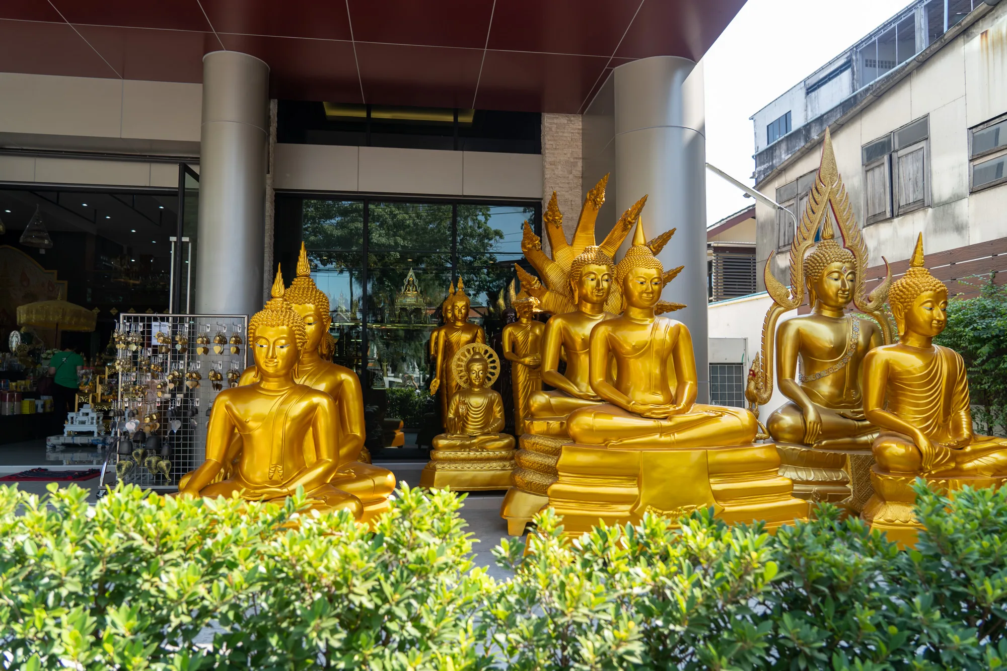 タイのバンコクで撮影された写真には、複数の金色の仏像が写っています。仏像は様々なポーズで座っており、中には背後に光背や蛇を模した装飾が施されているものもあります。仏像は現代的な建物（おそらく店舗や事務所）の前に置かれており、周囲には緑の茂みが植えられています。建物のガラスには周囲の景色が反射しています。背景には、古い建物も見え、新旧が混在した風景が伺えます。手前の緑色の茂みが、仏像の神聖さを引き立てています。全体的に金色が輝き、神聖で荘厳な雰囲気を醸し出しています。
