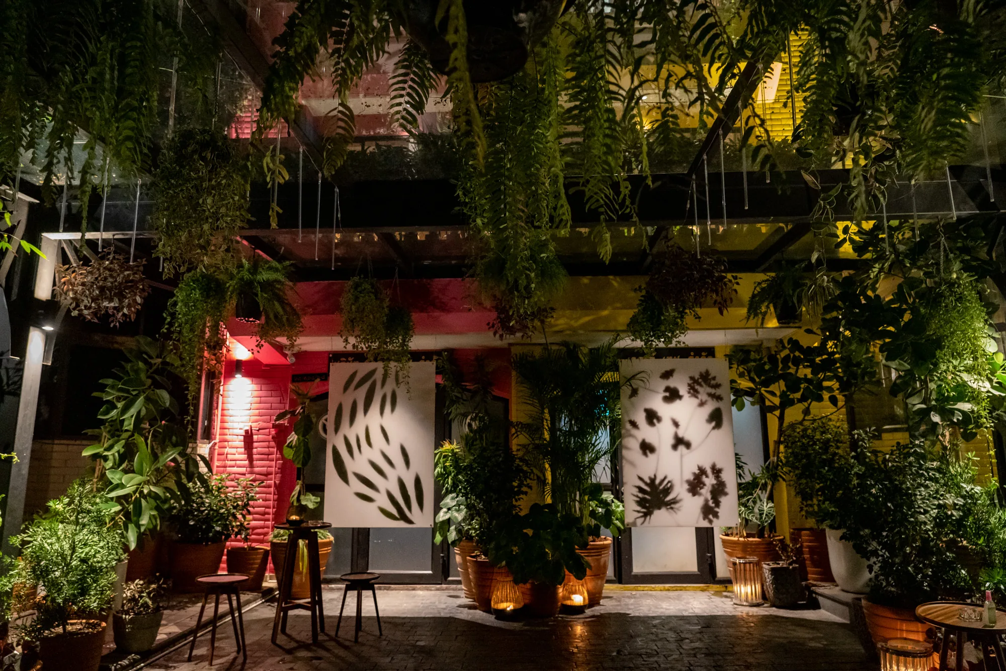 写真はタイのバンコクで撮影された、緑豊かな屋外空間を捉えたものです。夜間の撮影で、照明が効果的に使用され、幻想的な雰囲気を醸し出しています。天井からは様々な種類の植物が吊り下げられ、足元にも鉢植えの植物が多数配置されています。壁は赤と黄色に塗られており、その前にシルエット柄のスクリーンが置かれています。スクリーンの前には植物が置かれた鉢が並び、その足元には小さなキャンドルが灯されています。床は石畳で、テーブルと椅子が置かれており、落ち着いた空間を演出しています。全体的に、植物と照明、そして建築要素が組み合わさり、洗練されたリラックスできる空間を作り出しています。