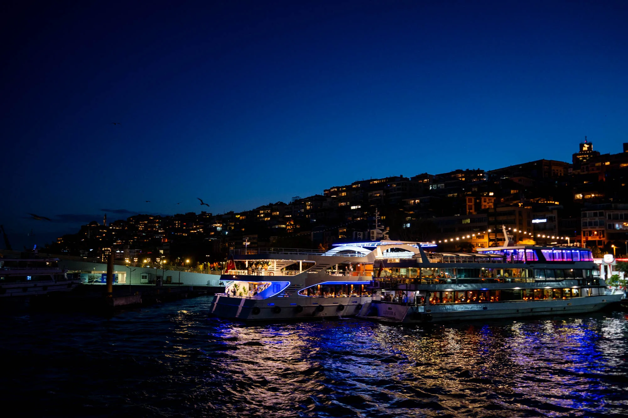 写真はトルコのイスタンブールで撮影された夜景です。画面中央には、停泊している2隻の豪華なクルーズ船が写っています。船内には人がおり、食事やパーティーを楽しんでいる様子が伺えます。船体には青や紫のライトが装飾され、水面に反射してキラキラと輝いています。  背景には、丘の上に建ち並ぶ建物群が写っており、各家の窓明かりが点在し、まるで星空のようです。空は深い青色に染まり、数羽の鳥が飛んでいるのが見えます。水面は波打ち、船のライトや周囲の明かりが反射して、幻想的な雰囲気を醸し出しています。全体的に、賑やかで華やかな夜のイスタンブールの風景が表現されています。