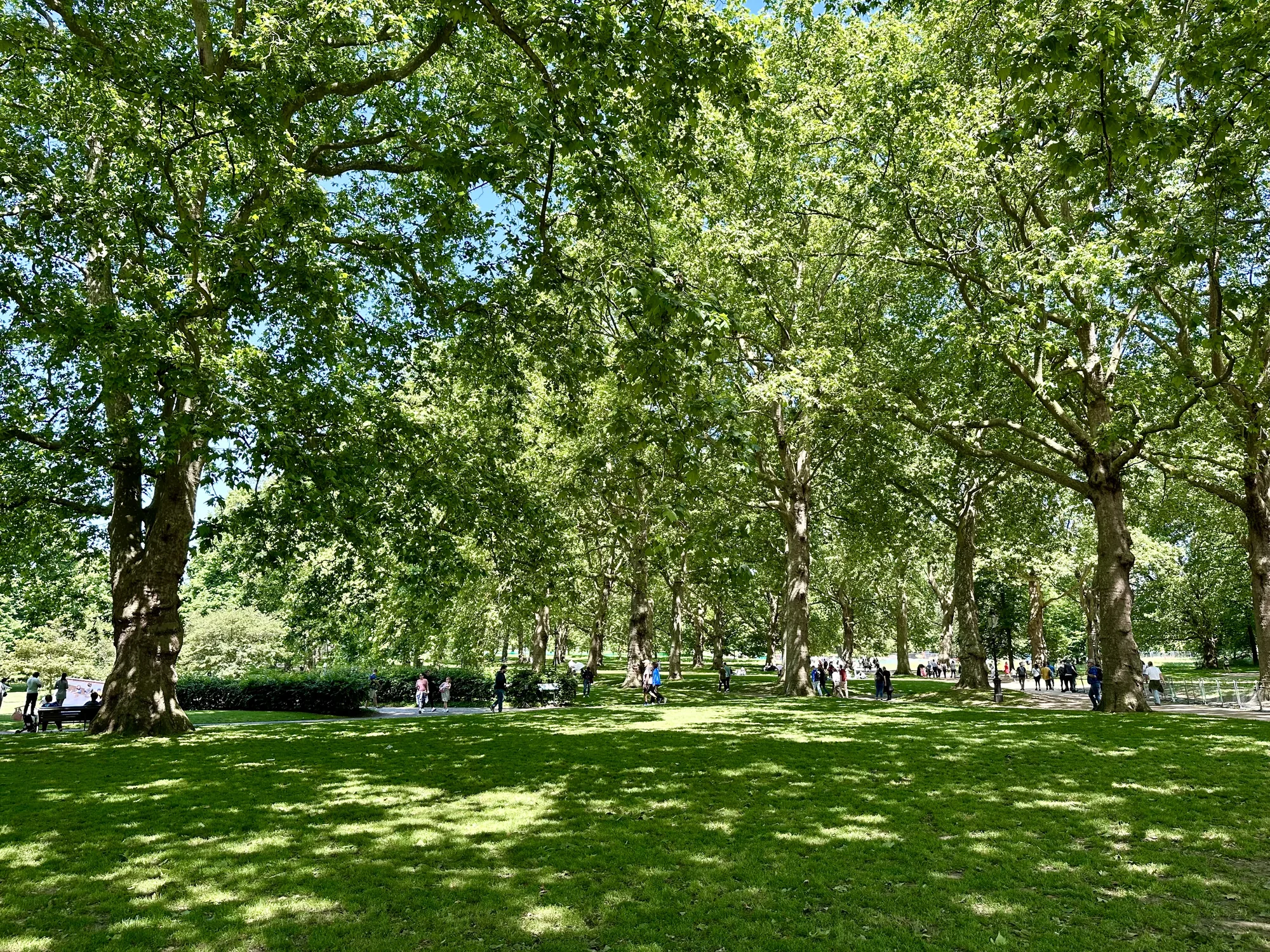 写真はイギリスのロンドンで撮影された公園の風景を捉えています。広々とした芝生の上には、木々が生い茂り、木漏れ日が芝生にまだら模様を描いています。多数の人々が公園内を散策しており、ベンチに座って休憩している人も見られます。緑豊かな木々と青い空が、都会の喧騒を忘れさせるような穏やかな雰囲気を醸し出しています。